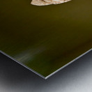 Sculpture of a seated figure in the Asian Art Gallery in Manhatt Metal print