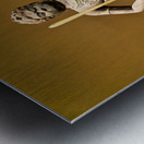 Statue of a warrior from Asia at the Metropolitan Museum of Art Metal print