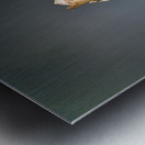 Sculpture of seated figure in Asian Art Gallery at Metropolitan  Metal print