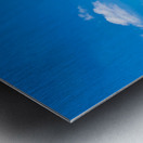 Ruins of the Citadel in Amman with pillars and cloudy sky Metal print