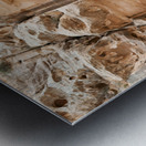 Little Petra site in Jordan shows ancient rock cut architecture Metal print