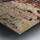 Royal Tombs at Petra in Jordan show ancient architecture and his Metal print