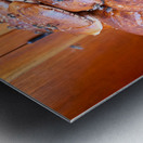 Loaf of bread covered in flies at market in Fez Morocco Metal print