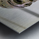 Riace bronze b at national museum reggio calabria Metal print