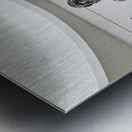 Riace bronzes in national museum of magna grecia at reggio calab Metal print