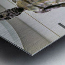 Riace Bronze statue B displayed in Reggio Calabria Museum Metal print