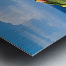 Santa Maria dellIsola Monastery in Tropea Calabria Italy by the Metal print