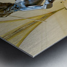 Bronze David stands in Museo Nazionale del Bargello in Florence Metal print