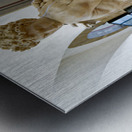 Honor wins over deceit at Florences Bargello Museum Metal print