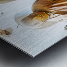 Exploring capuchin catacombs in palermo sicily italy Metal print