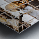 Visitors see mummies in Capuchin Catacombs in Palermo Sicily Metal print