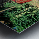 Boy pushes a cart down the street in Myanmar during the day Metal print