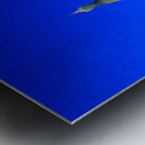 Popular Schwedagon Paya at night in Yangon Myanmar Metal print