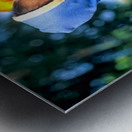 Portrait of Burmese women of Shan ethnicity in Myanmar Metal print