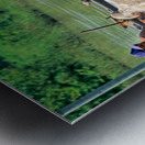 Washing cows in a river in the countryside of Myanmar Metal print