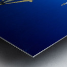 Visit to Erdene Zuu Monastery in Mongolia during summer Metal print