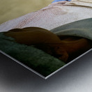 Indigenous mother nourishes child in the Andes of Argentina Metal print