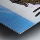 Cactus island in a vast white salt flat under blue sky. Metal print