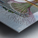 People walk on bridge connecting to Supertree Grove in Singapore Metal print