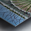 People walk on bridge connecting to Supertree Grove in Singapore Metal print