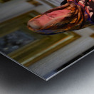 Woman lights candles at Alexander Nevsky Lavra Metal print