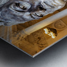 Sculpture of a historical figure in St. Petersburg Museum Metal print