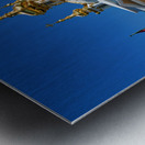 Exploring peterhof palace in saint petersburg russia Metal print