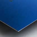 Exploring peterhof palace in saint petersburg russia Metal print