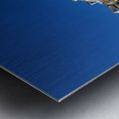 St. Petersburg shows Catherine Palace in clear sunlight Metal print