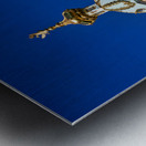 St Petersburg architecture near Peterhof Palace under clear sky Metal print