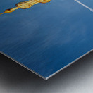 Exploring Sheikh Zayed Grand Mosque in Abu Dhabi during sunset Metal print