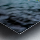 Puffin resting on grass at Borgarfjordur Eystri in Iceland Metal print