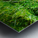 Puffin standing in grass at Borgarfjordur Eystri in Iceland Metal print