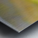 Puffin standing on grass in Borgarfjordur Eystri Iceland Metal print