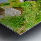 Puffin stands on rocks by the sea in Borgarfjordur Eystri Metal print