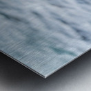 Puffin on rock at Borgarfjordur Eystri in Iceland by the ocean Metal print