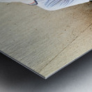 Fish market in Muscat Oman shows a vendor at work Metal print