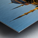 Visit to Blue Mosque and fountain at twilight in Istanbul Metal print