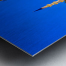 Night view of Suleymaniye Mosque in Istanbul Turkey Metal print