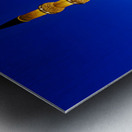 Suleymaniye Mosque stands tall in Istanbul at night Metal print