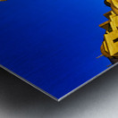 Suleymaniye Mosque at dusk in Istanbul Turkey Metal print