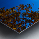 Suleymaniye Mosque at night in Istanbul Turkey Metal print