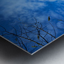 Gable of the fairytale house in park guell barcelona Metal print