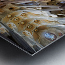 Inside Basílica de la Sagrada Família Barcelona Metal print