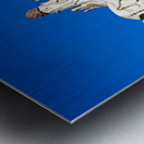 Exploring the fairytale house in Park Guell Barcelona Metal print