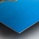 Exploring Casa Batllo in Barcelona Spain during sunset Metal print