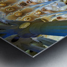 Explore the stunning interior of Basílica de la Sagrada Famíli Metal print