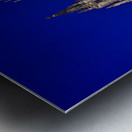 Cathedral of the holy cross and saint eulalia in barcelona Impression metal