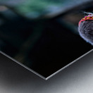 Kids enjoying life in Kalash village Bumburet Valley Metal print