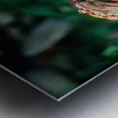 Children of Pakistan wear traditional clothing in the sunlight Metal print